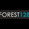 Forest128
