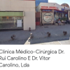 Clinica Medico-Cirurgica Dr. Rui Carolino E Dr. Vitor Carolino, Lda